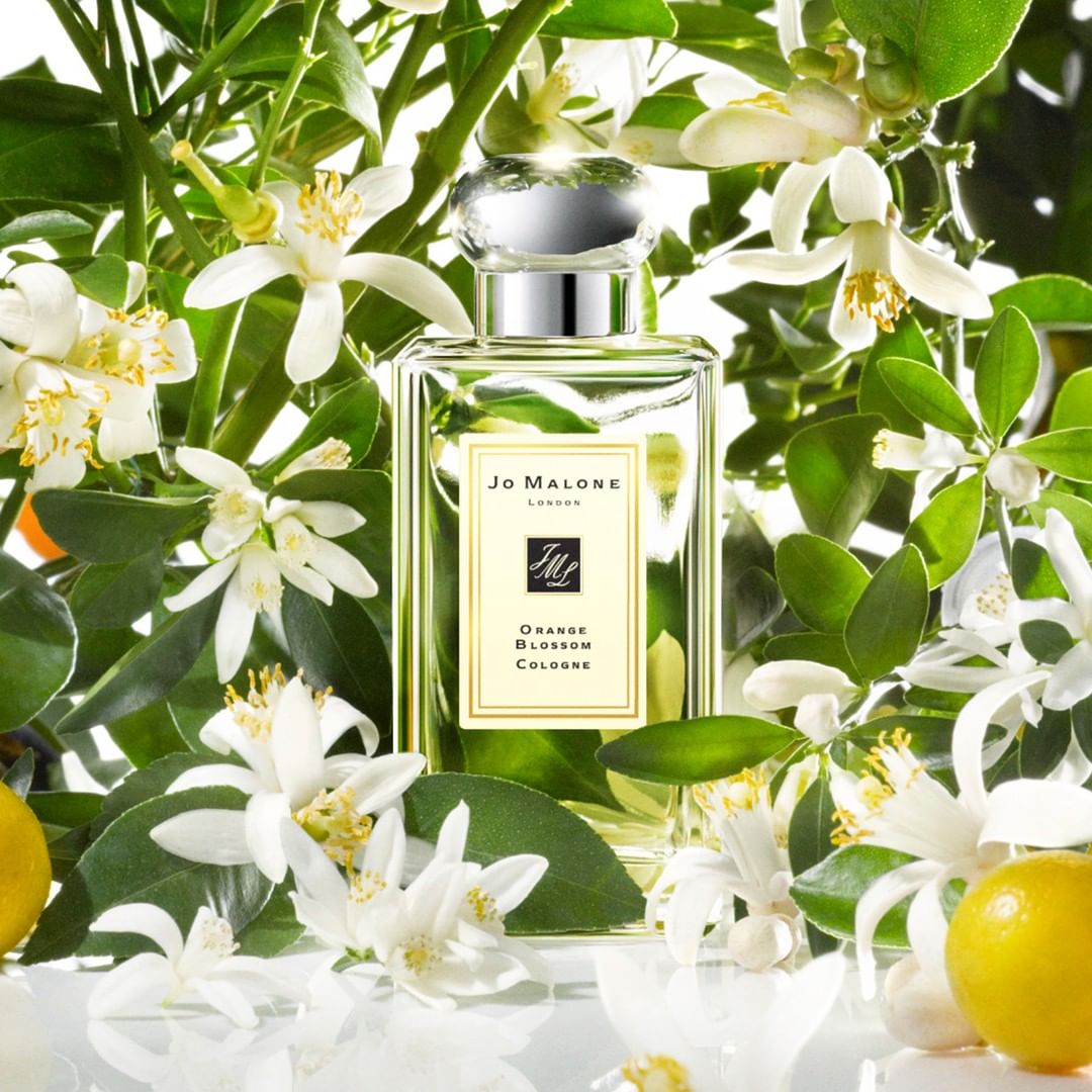 Orange Blossom Cologne 100 ml น้ำหอมกลิ่นดอกส้ม กลิ่นหอมราวกับประกายระยิบระยับจากสวนใจกลางโอเอซิส